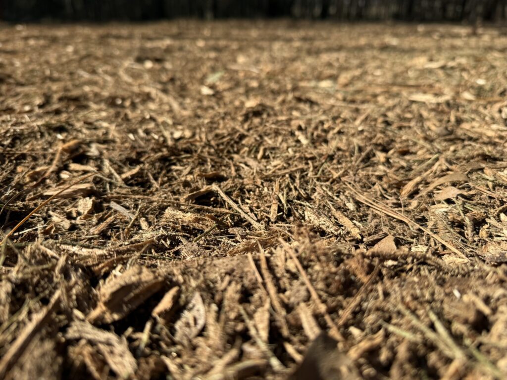 Close-up of freshly mulched ground cover